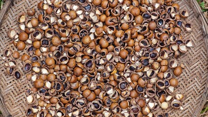 Shell of macadamia nuts, close up textures.