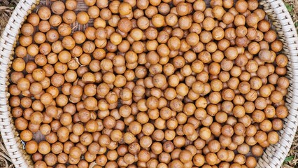 Unshelled macadamia nuts, close up textures.