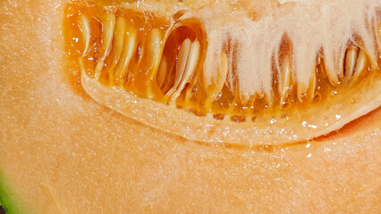 Cantaloupe melon close up, texture.