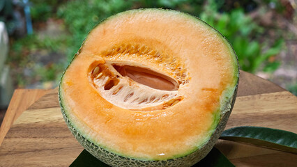 Cantaloupe melon on nature background.