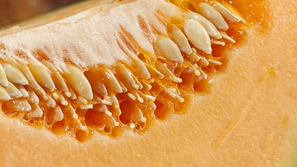Cantaloupe melon close up, texture.