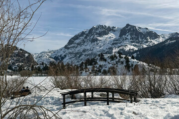 Quiet Winter Lakeside Scene in Afternoon Light with Mountain Backdrop