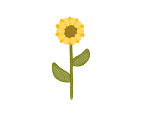 Fototapeta premium yellow sunflower isolated on white