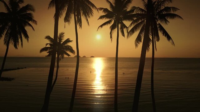 Cinematic tropical sunset filmed by drone with slow backward camera movement. Palm tree silhouettes frame golden sun reflecting on calm sea creating luxury travel mood and serene summer ocean scene