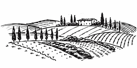 Naklejka premium A sketched tuscan landscape with rolling hills cypress trees and a farmhouse
