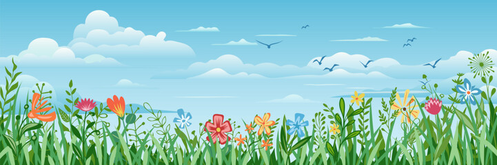 Obraz premium Spring summer landscape, blooming meadow against the backdrop of a blue sky with white clouds, cartoon vector illustration