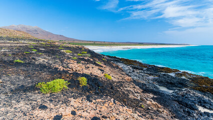 Wild volcanic coastline and sandy beach in Boa Vista, Cape Verde