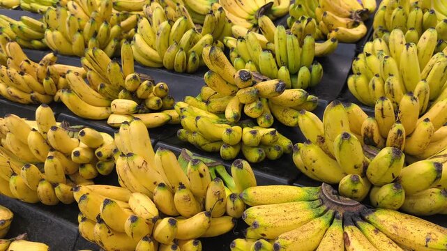 Rows of ripe yellow bananas are displayed in a bright supermarket aisle. The fruit is ready to eat and arranged openly. Customers can easily select their preferred bunches.