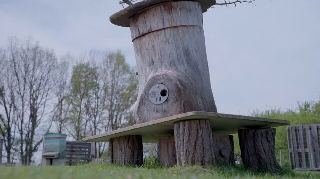 Distinctive tree trunk hive or ruche tronc with a natural face-like shape, standing on a platform in a rural setting, showcasing ancient and eco-friendly French apiculture methods.