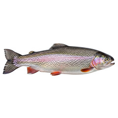 A pixelated image of a rainbow trout on a white background.