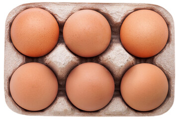 eggs in box isolate on white background