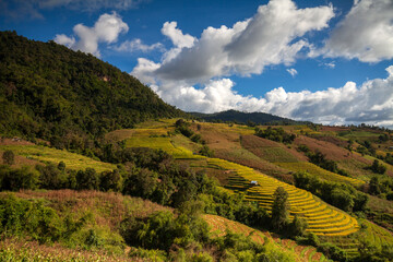 landscape rice terraces in the moutain and blue sky with cloud