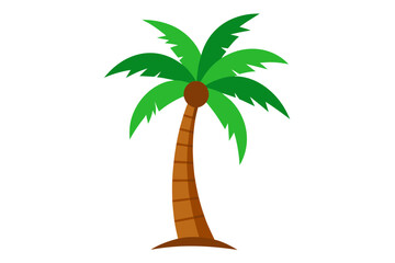 tropical palm tree