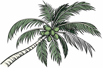 palm tree vector illustration