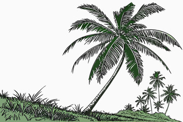 palm tree silhouette