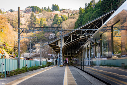 Yoshino Mountain and Kintetsu Station in Spring, Sakura Mountain in Background