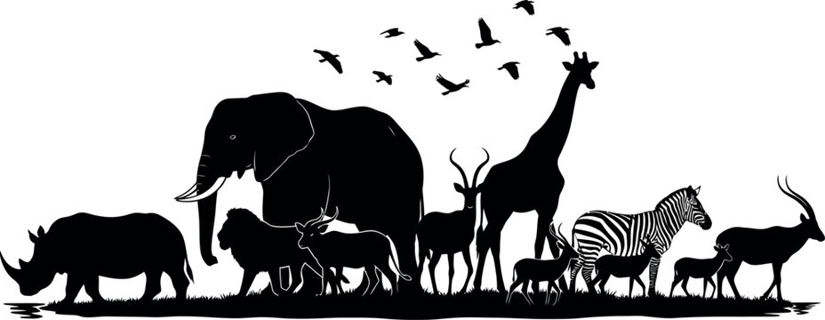 Safari silhouette of diverse african wildlife