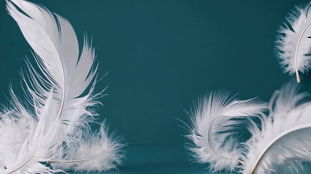 White feather soft delicate, floating airy on light blue background, gentle nature peaceful, purity, elegant, minimal, smooth