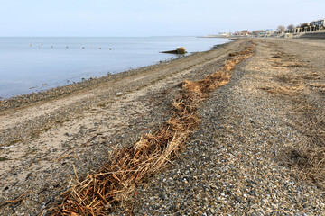 Primorsko-Akhtarsk pebble beach with straw debris along the Azov Sea shoreline