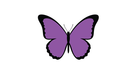 A vibrant purple butterfly with detailed wings a striking silhouette © asma