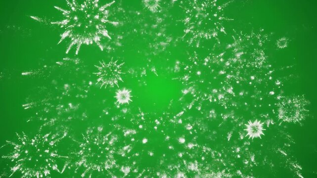 A vibrant green fireworks explosion on a dark background, symbolizing celebration and festivity