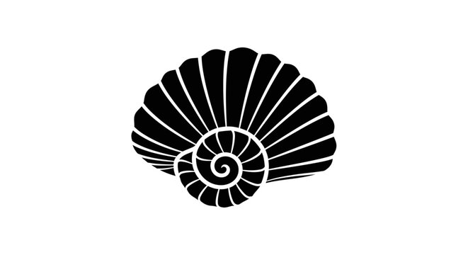 Black ammonite fossil shell spiral shape.