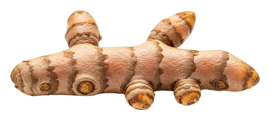 Fototapeta premium Natural light photography of fresh turmeric from organic farm harvests isolated on transparent background