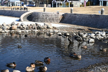 凍結した諏訪湖