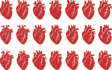 Anatomical Human Heart Vector Icon Set Medical Organ Illustration Bundle

