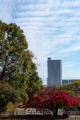 公園から見える高層マンション　都市公園　滋賀県大津市皇子が丘公園