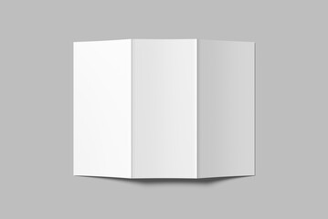 Trifold Brochure  Blank Mockup 