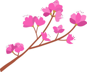 분홍색 진달래꽃 봄