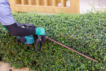A man is trimming hedges with a hedge trimmer