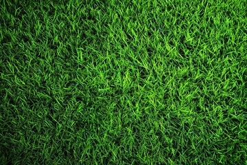 Lush green grass texture from above with soft focus and natural light, ideal for backgrounds in sports, outdoor recreation, nature projects, or eco-friendly designs.