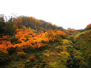 Obraz premium Mt.Yuniishikari-dake and Mt.Otofuke-Yama in autumn color