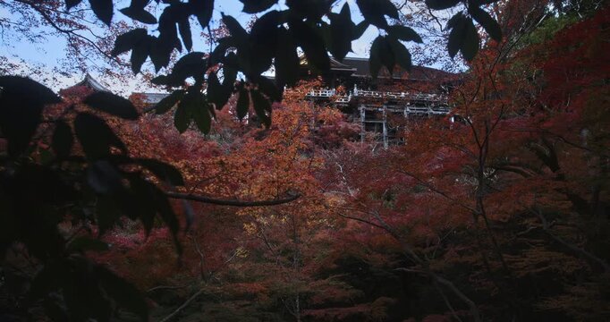 Beautiful, red and orange autumn trees hiding ancient 8th century Japanese temple