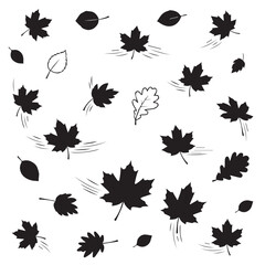 Fototapeta premium Dynamic Autumn Leaves in Motion: Blowing Maple and Oak Leaf Silhouettes