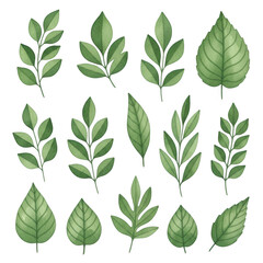 A collection of different green leaves arranged in a grid pattern on a white background.