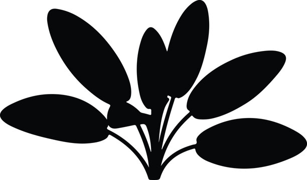 silhouette aquatic plant with broad oval leaves isolated on white vector design