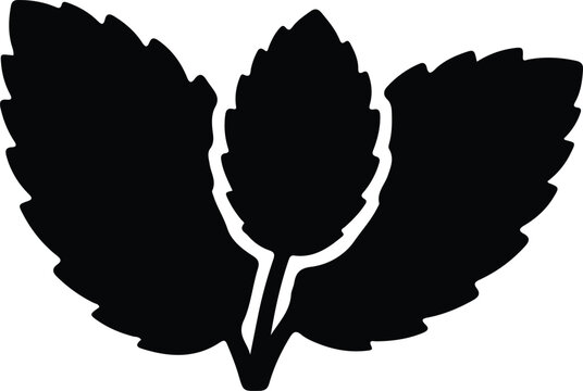 silhouette aromatic mint leaf sprig for herbal medicine vector design