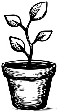 Hand drawn small plant in pot notion style icon illustration black and white