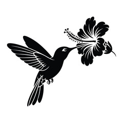 Hummingbird feeding on flower Vector, Silhouette, Illustration
