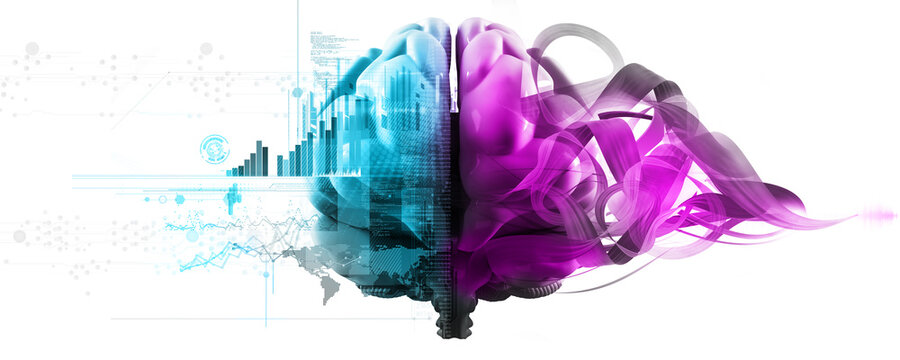 left and right brain functions