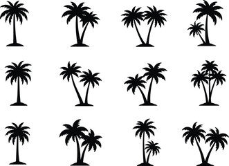 Palm tree silhouettes, tropical icons, exotic plants, beach design, summer decoration, black shapes, botanical art, island theme, vector illustration, nature elements