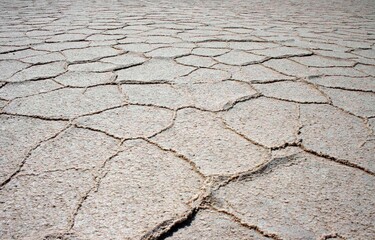 Obraz premium Cracked Dry Earth Texture Background