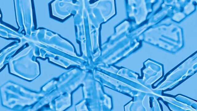 Snowflake crystals under microscope bright field with color filters
