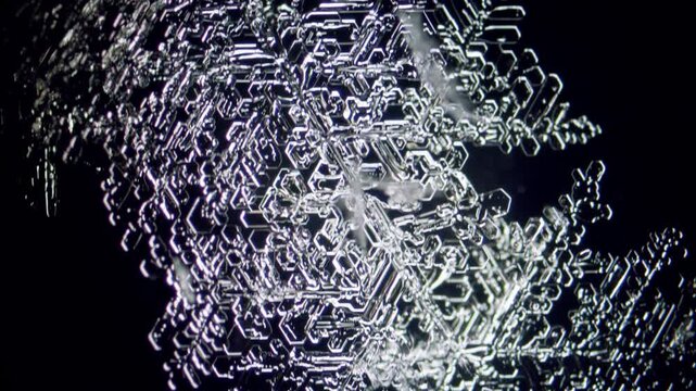 Snowflake crystals under microscope dark field