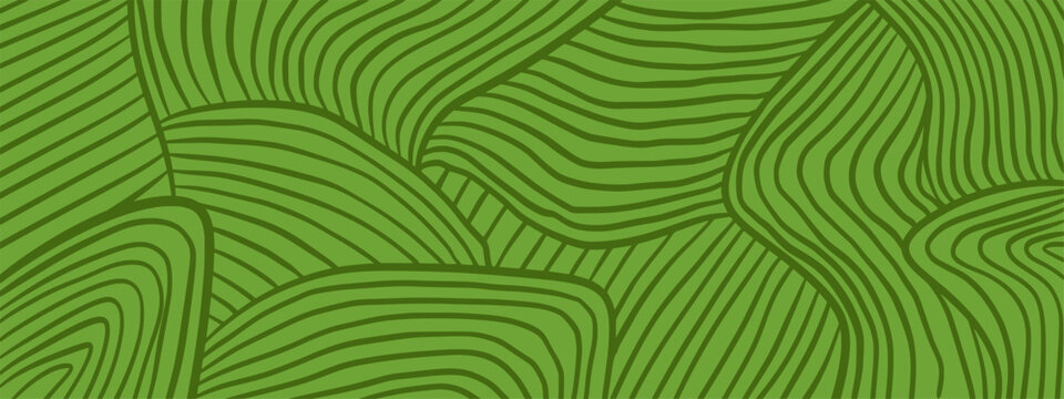 Eco farm field pattern. Vineyard agriculture landscape