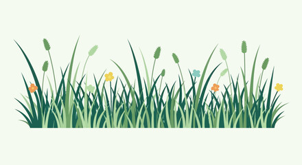 Fototapeta premium Green Grass Border with Wildflowers and Seed Heads, Spring Meadow Illustration