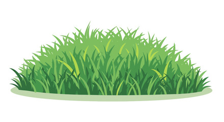 Fototapeta premium Green Grass Bush Isolated on White Background